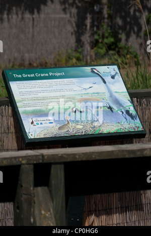 "Der große Kran Projekt'-Interpretative Grafik Display Board, WWT, London Wetland Centre, Barnes. Stockfoto