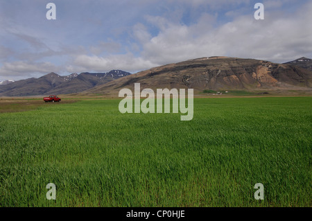 Roter Pickup und grünen Wiese in der Nähe von Holt unter den Raudaberg Hügeln, Ost-Island Stockfoto