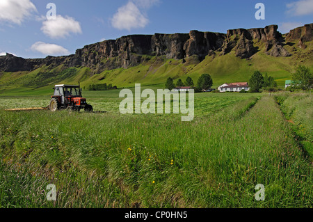 Heuernte am Foss, wo die Landwirtschaft Township schmiegt sich unter Basalt Felsen, Süden Islands Stockfoto