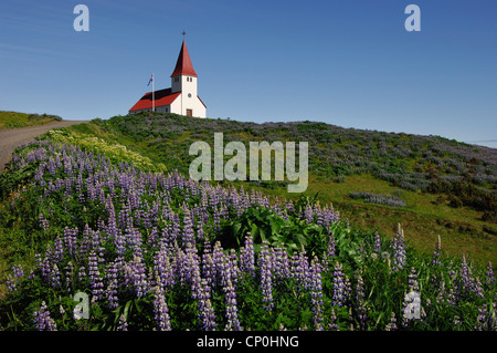 Rotbedachten Kirchlein bei Vik im Süden Islands Stockfoto