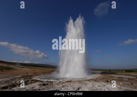 Der isländische Geysir Strokkur, Entlüftung, Heißwasser und Dampf bis zu einer Höhe von rund 15 Metern. Stockfoto