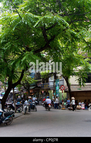 Eine typische Baum Baldachin und Street Szene in Hanoi, Vietnam Stockfoto