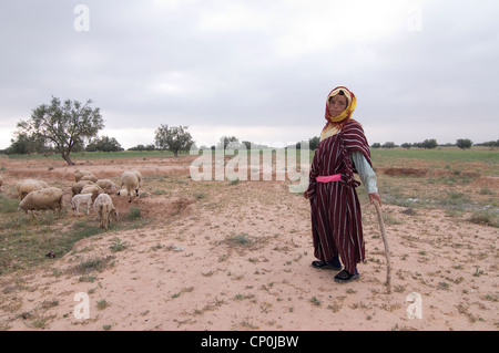 Rund um Sidi Bouzid sind viele kleine Dörfer und viel Ackerland und Wiesen, wo der Hirte Juma ihre Schafe nimmt. Stockfoto