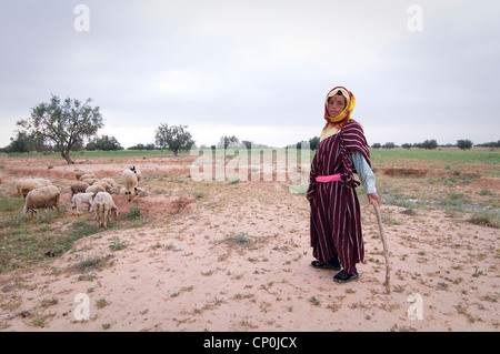 Rund um Sidi Bouzid sind viele kleine Dörfer und viel Ackerland und Wiesen, wo der Hirte Juma ihre Schafe nimmt. Stockfoto