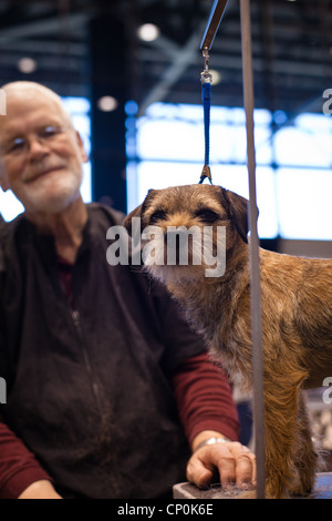 American Kennel Club, AKC zeigen in Chicago, Pflege Stockfoto