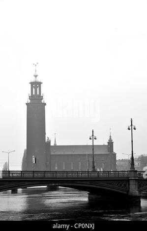 Stockholm, Stadt Rathaus nebligen Morgen Stockfoto