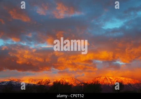 Sonnenaufgang leuchtet die Wolken und der östlichen Sierra Berge von Bischof California Stockfoto