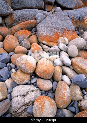 Bunte Felsen an den Friendly Beaches im Freycinet National Park Tasmanien Australien Stockfoto