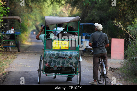 Besucher reiten Cycle rickshaw in Bharatpur Vogelschutzgebiet Stockfoto