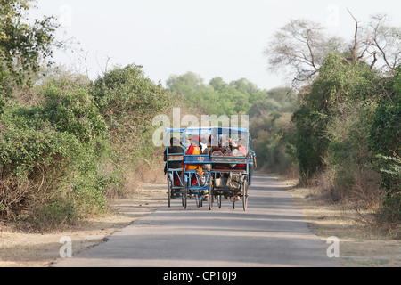 Besucher reiten Cycle rickshaw in Bharatpur Vogelschutzgebiet Stockfoto