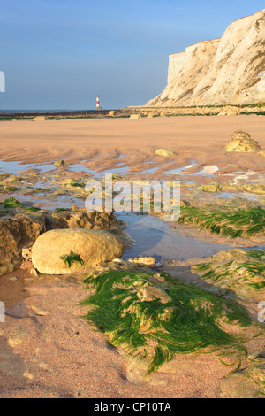 Beachy Head und Leuchtturm von Falling Sand Strand gefangen genommen Stockfoto