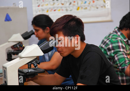 Studenten im Labor arbeiten Stockfoto