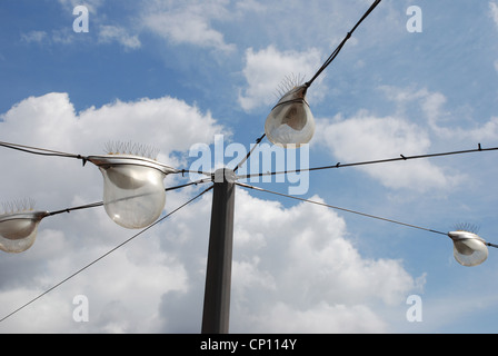 Vogel-Kontrolle-Spikes auf Straßenbeleuchtung in Teneriffa-Kanarische Inseln-Spanien Stockfoto