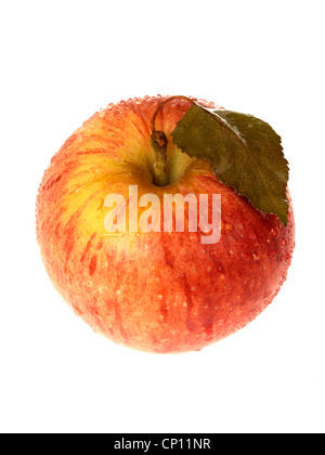 Roter Apfel Stockfoto
