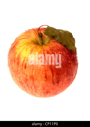 Roter Apfel Stockfoto