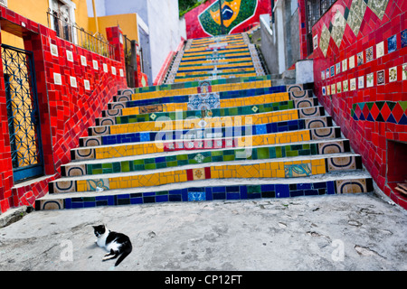 Eine Katze liegt auf Selaron Treppe (Escadaria Selarón), ein buntes Mosaik Fliesen Treppe, in Rio De Janeiro, Brasilien. Stockfoto