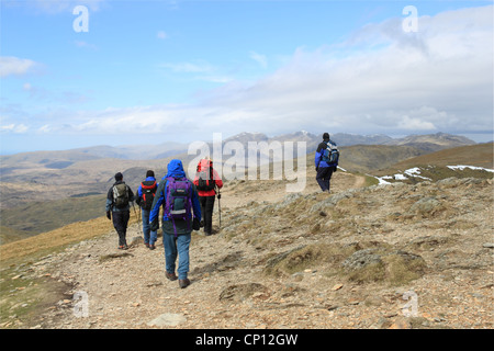 Entlang des Grates nördlich von Old Man of Coniston, Cumbria, Lake District, England, Großbritannien, Deutschland, UK, Europa Stockfoto