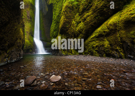 Lower Oneonta Falls in Oneonta Schlucht ist in der Columbia River Gorge, Oregon Stockfoto