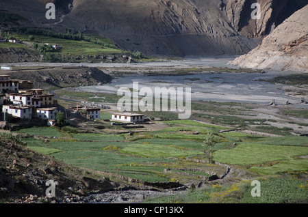 Das Spiti Tal, Himalaya, Himachal Pradesh, Indien Stockfoto