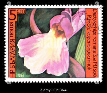 Briefmarke aus Bulgarien, die Darstellung einer Orchidee. Stockfoto