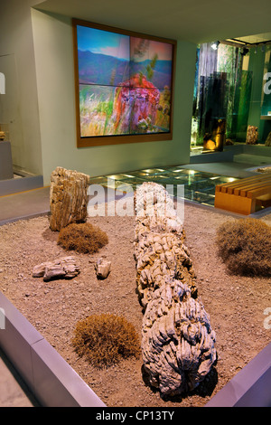 Das Museum of Natural History der versteinerte Wald von Lesbos Insel in der Stadt Sigri, Lesbos, Griechenland Stockfoto