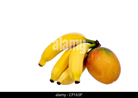 Ein paar Bananen und eine Mango isoliert auf weiss Stockfoto