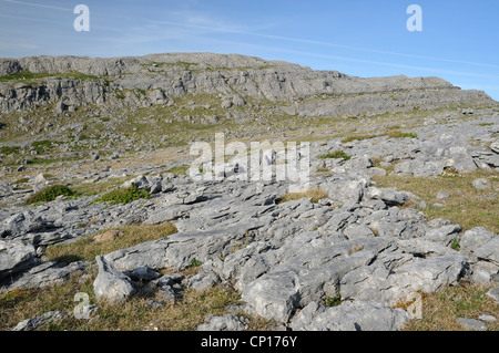 Kalksteinfelsen und Pflaster aus Mullaghmore, The Burren Nationalpark, Co. Clare, Irland Stockfoto