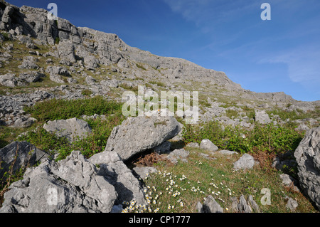 Kalksteinfelsen der Mullaghmore, The Burren Nationalpark, Co. Clare, Irland Stockfoto