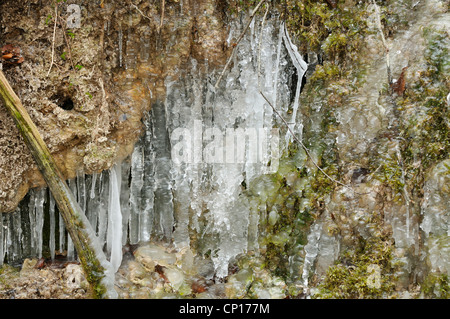 Eis fließt in Cotswold Woodland, Kilcott Bach, Midger Holz Stockfoto