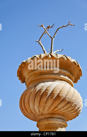 Porträt der Blick nach oben Punkt der indigenen Rajasthan Stein geschnitzt und gefertigt Pflanze Topf Stick Anlage klaren blauen wolkenlosen Himmel Stockfoto