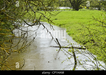 Überschwemmungen in Feld in Buckinghamshire, england Stockfoto