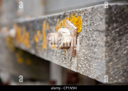 Whitstable Strand, Buhnen, Kent, England, UK Stockfoto