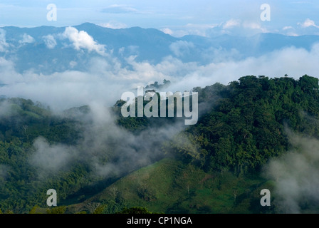 Blick auf das Tal von Hacienda El Caney (Plantage), in der Kaffee-wachsenden Region, in der Nähe von Manizales, Kolumbien Stockfoto