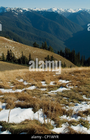 Olympic Nationalpark, Washington, USA Stockfoto