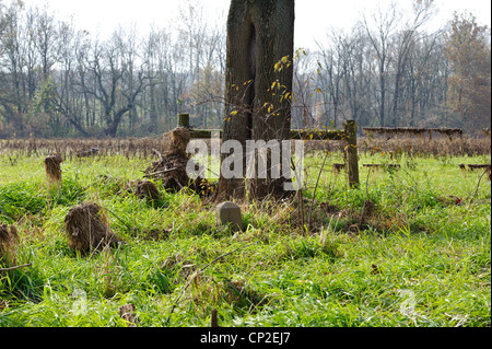 TRI-COUNTY GRENZE MARKER STEIN VON LANCASTER LIBANON UND DAUPHIN COUNTY, PENNSYLVANIA Stockfoto