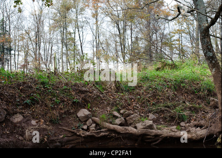 TRI-COUNTY GRENZE MARKER STEIN VON LANCASTER LIBANON UND DAUPHIN COUNTY, PENNSYLVANIA Stockfoto