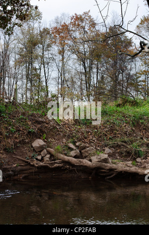 TRI-COUNTY GRENZE MARKER STEIN VON LANCASTER LIBANON UND DAUPHIN COUNTY, PENNSYLVANIA Stockfoto