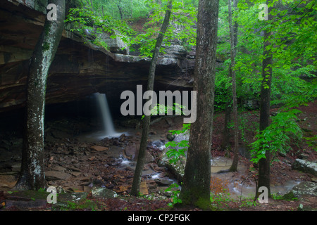 Glory Hole fällt, Ozark Bergen von Arkansas, USA Stockfoto