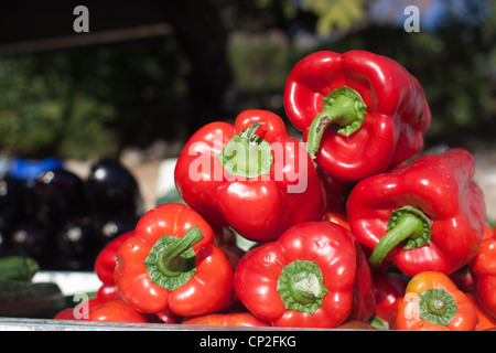 Bauernhof frisches Gemüse auf dem Display auf dem spanischen Markt. Stockfoto