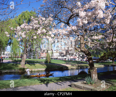 Stechkahn fahren am Fluss Avon im Frühling, Christchurch, Region Canterbury, Südinsel, Neuseeland Stockfoto