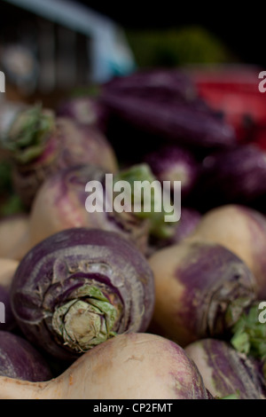 Bauernhof frische Gemüse, darunter Schweden, Auberginen und rote Paprika, auf dem Display auf dem spanischen Markt. Stockfoto