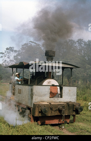 Die Welten letzte Dampfstraßenbahn auf dem Zucker Fabrik F.C Azucarera in Paraguay. Stockfoto