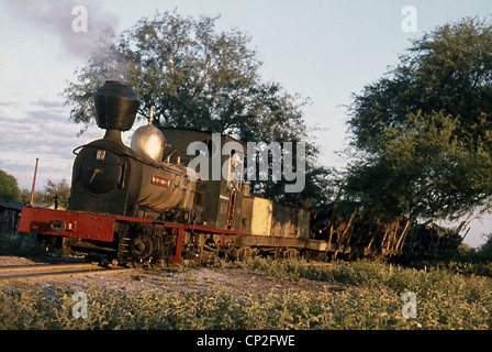 76cm Spurweite System strahlte von Peurto Casado tief im paraguayischen Chaco. Manning Wardle Tank 2-8-2 gut Nr. 5 'Don Carl'. Stockfoto