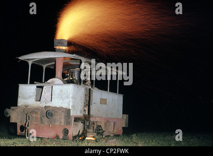 Die Welten letzte Dampfstraßenbahn auf dem Zucker Fabrik F.C Azucarera in Paraguay. Stockfoto