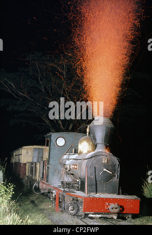 76cm Spurweite System strahlte von Peurto Casado tief im paraguayischen Chaco. Manning Wardle 2-8-2 gut Tank Nr. 5 "Don Carl. Stockfoto