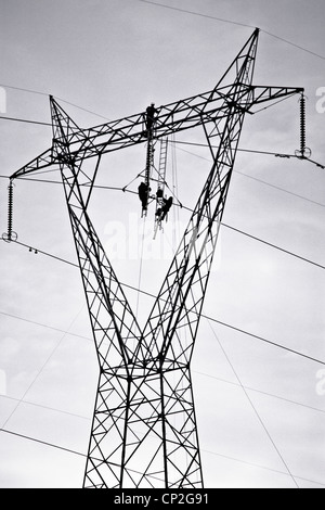 Männer, die Festsetzung von Stromleitungen, Australien Stockfoto