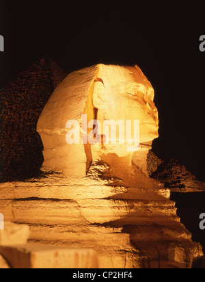 Die große Sphinx von Gizeh beleuchtet in der Nacht, Giza, Gizeh Governorate, Ägypten Stockfoto