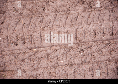 Reifenspuren im Schlamm Stockfoto