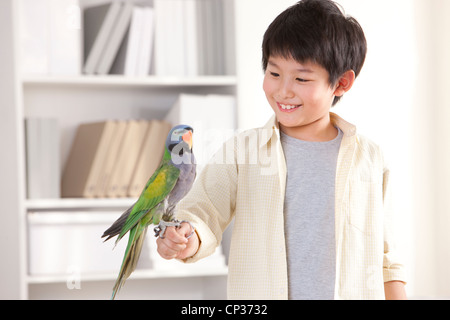 Kleiner Junge spielt mit einem Papagei Stockfoto