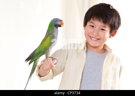 Kleiner Junge spielt mit einem Papagei Stockfoto